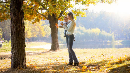 快乐的年轻母亲抱着她蹒跚学步的儿子, 在公园里展示秋叶