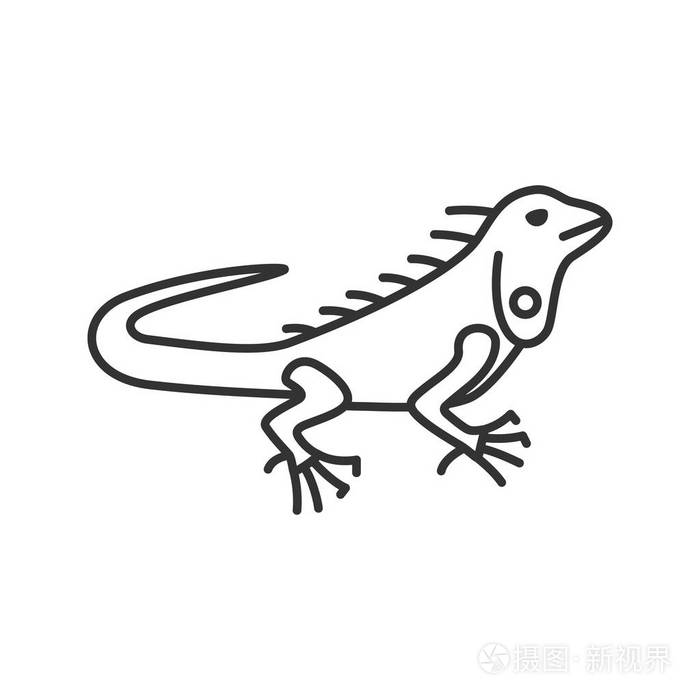 简笔画蜥蜴的画法图片