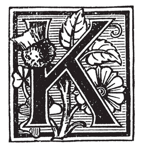 装饰大写字母 k 与花卉和线条, 复古线条画或雕刻插图照片