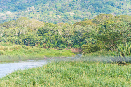雨林中的哥斯达黎加河