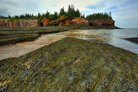 hdr 圣马丁洞穴海藻