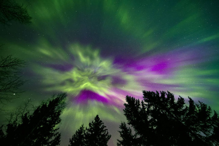 北方夜空中五颜六色的北极光和树梢的剪影