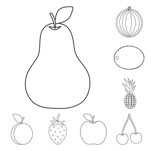 不同的水果轮廓图标集合中的设计。水果和维生素矢量符号股票 web 插图