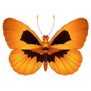 鬼蝴蝶图片-鬼蝴蝶素材-鬼蝴蝶插画-摄图新视界