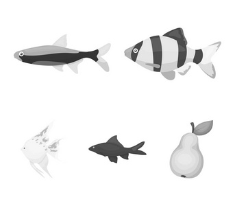 鱼, 普通, barbus, 霓虹。鱼集合图标单色风格矢量符号股票插图网站
