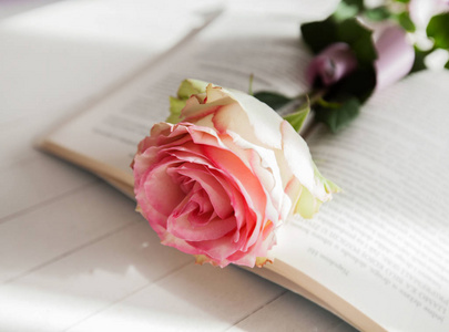 玫瑰和书言情爱