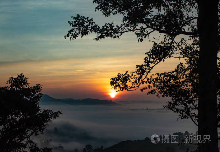 雾和太阳清晨后的山