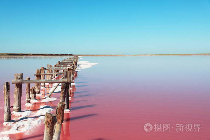 夏日粉红湖美景