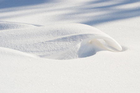 怪异形式的雪图图片