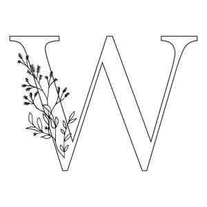 花字母 w 浪漫字体设计与花卉
