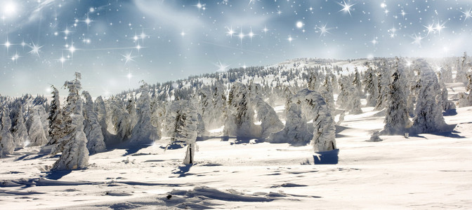 美丽的冬天全景与雪覆盖的树木