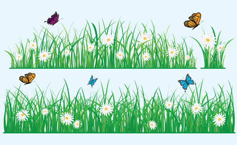 蝴蝶在草地上飞翔, 花, 春天, 夏天背景