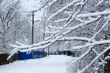 冬季自然景观, 雪后的白色树木