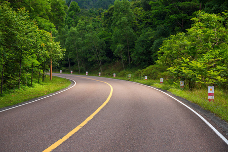绿色森林的沥青路.阳光明媚的一天去大自然的旅程.