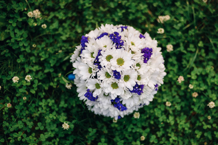 白色雏菊和蓝色花朵的婚礼花束