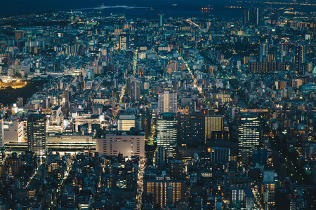 日本首都东京城市天际线从上面的夜晚看到