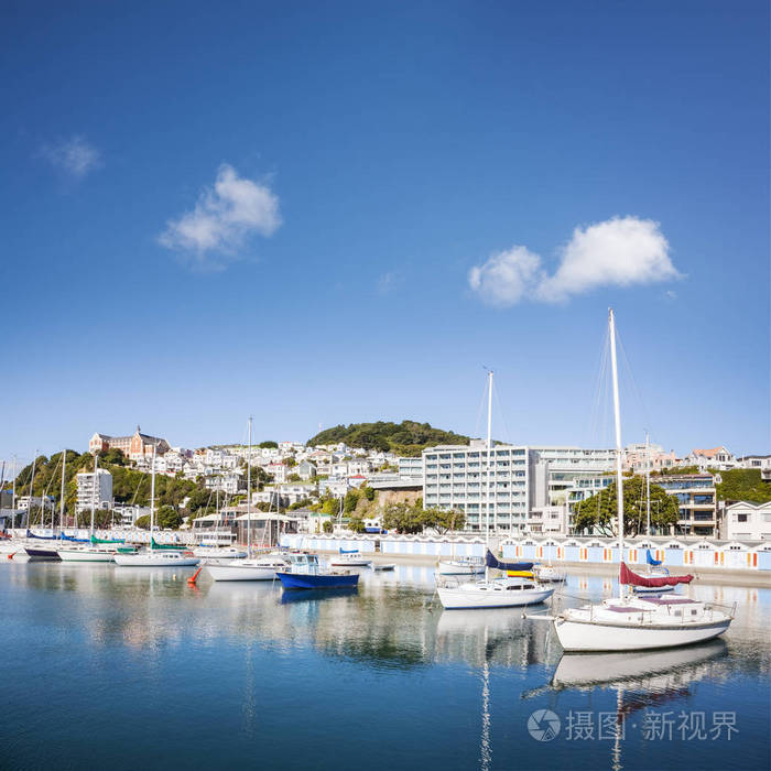 惠灵顿东方湾滨海新西兰