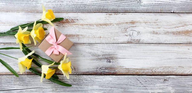 白色风化木板上的黄色水仙花和礼品盒