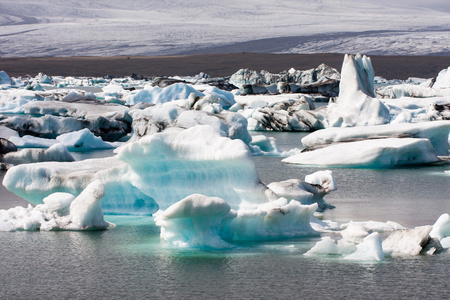 在冰川的礁湖中漂浮的冰山图片