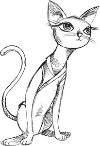 猫小猫素描涂鸦矢量插图艺术