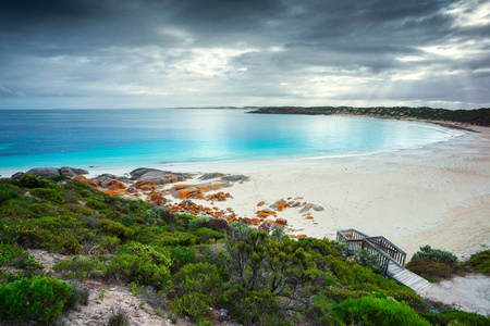 海豚湾, 南澳大利亚