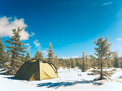 在冬季徒步旅行在山上露营。云杉下的绿色旅游帐篷