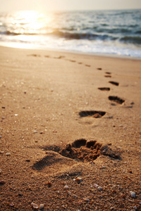 海滩 波和在日落时的脚步声