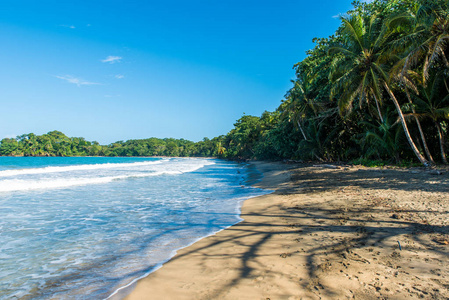 海滩奇基塔靠近波多黎各别霍的野生海滩, 哥斯达黎加