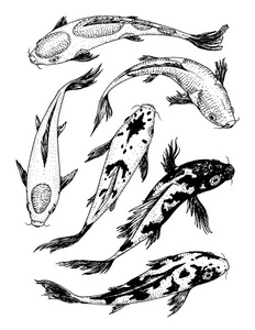 一组素描素材图片