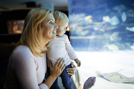快乐可爱的家庭看鱼缸在水族馆