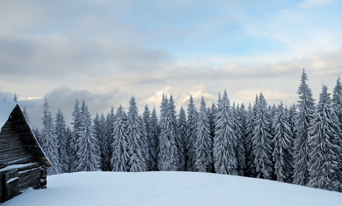 美丽的冬天景观在喀尔巴阡山的雾