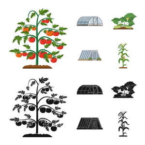 温室和植物标志的孤立对象。一套温室和花园股票符号的网站