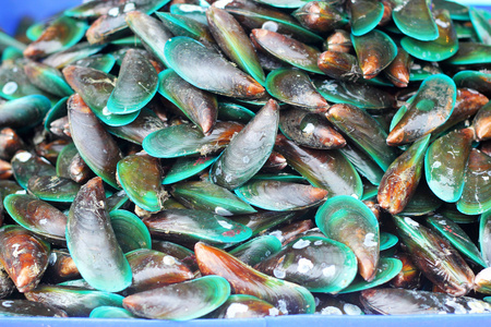 在市场上的贝壳图片