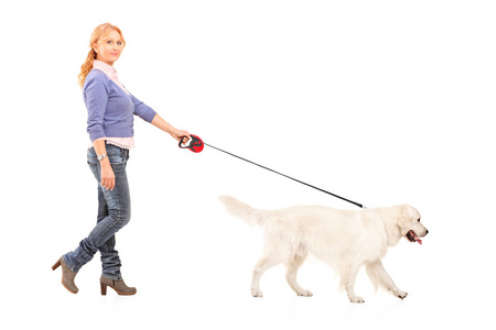 遛狗图片-遛狗素材-遛狗插画-摄图新视界