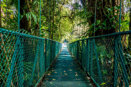 Cloudforest哥斯达黎加吊桥