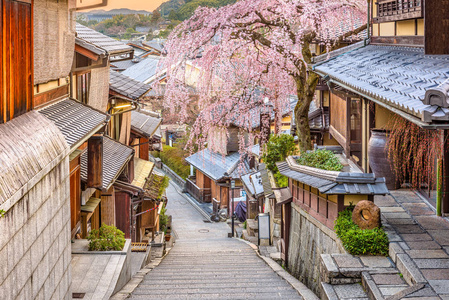京都, 日本春天在东山区