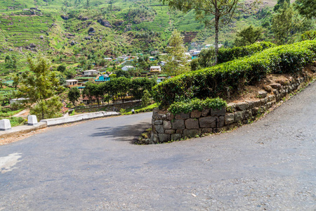 蜿蜒的道路, 茶园和一个小村庄在山附近的哈普特莱, 斯里兰卡