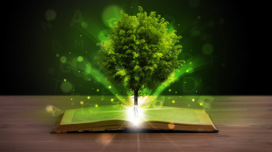 神奇的绿树和光线一起打开的书