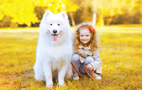 快乐的小女孩，在阳光明媚的秋日开心的狗