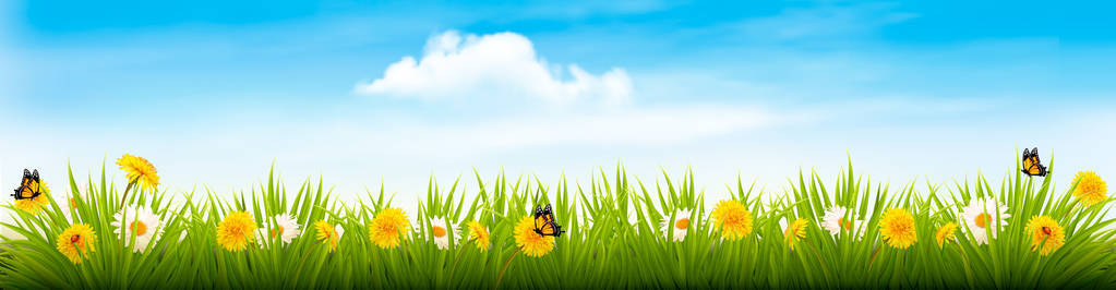 春天自然风景横幅用花和蝴蝶。vec
