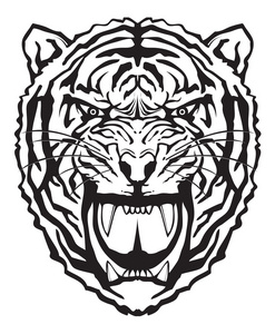 老虎脸贴图图片