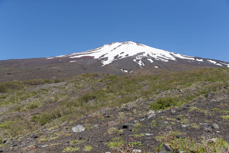 春季雪与林径富士山顶部