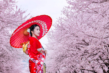 和服日本春季身穿日本传统和服及樱花的亚洲女子照片