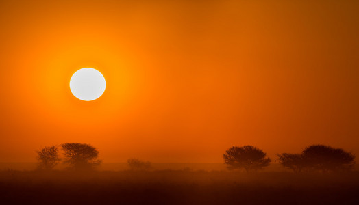 美丽的非洲日落
