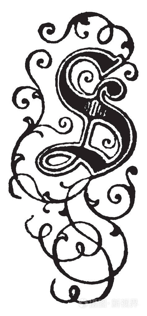 装饰大写字母s复古线画或雕刻插图