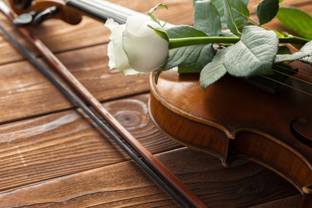 美丽的小提琴与玫瑰在木质背景