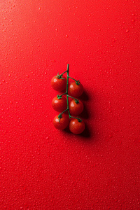红面樱桃番茄的水滴顶观图片