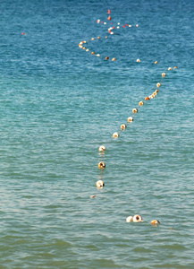 海水海滩上的浮标