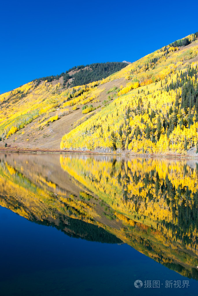 白杨树上水晶湖科罗拉多