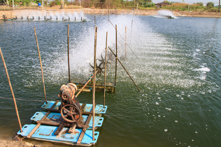 淡水养虾场的曝气器